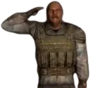 emote_salute_f