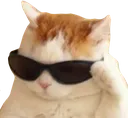 coolcat coolcat