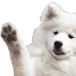 doggowave