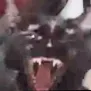 cat_oreo_scream Discord Emoji