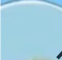 birdo2