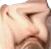 D2S_Y_DISGUSTED