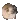 pug
