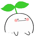 9Z_HibudBongo