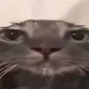 macdonal