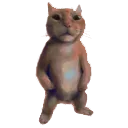 swagstand