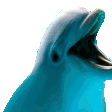 happyDolphin
