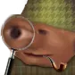 SherlockGnome