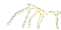 Stickbugged