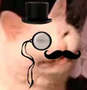 sophistikoted