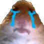 HamCry