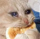 68790