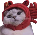 SCnotacrab