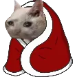 SCPAWcozy