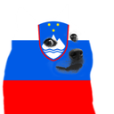 slovenia_doge
