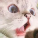 nanashock
