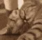 SCsnuggle