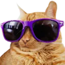 Coolcat coolcat Discord Emoji