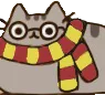 gCatScarf