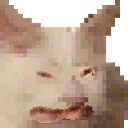 byech