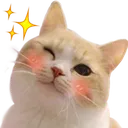 kot_mi kot_mi