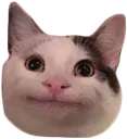 PoliteCat PoliteCat