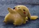 nopikachu
