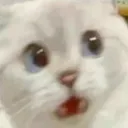 Nani2 nani2 Discord Emoji