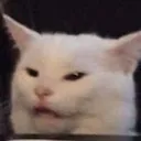 cunfusedcat Discord Emoji