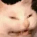 stressedcat Discord Emoji