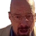 waltertrollface