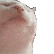 vibecat