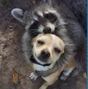 hug