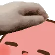 patthepotato patthepotato
