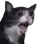 catcry4 Discord Emoji