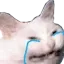 catcry6 Discord Emoji