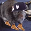 MouseGuapo