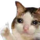 sadcat sadcat