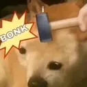bonk