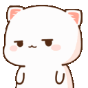 CatChanCrazyWink Discord Emoji