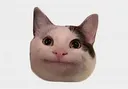 cat Discord Emoji