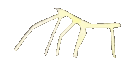 stickbugged