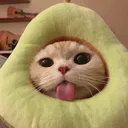 PearCat Discord Emoji