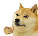 doggo