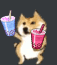dogdance