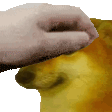 pettingdoggo