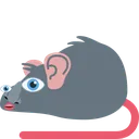 manRat