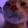 rgbcat