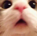hello