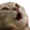 SCcatPOG